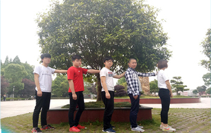 启扬团队