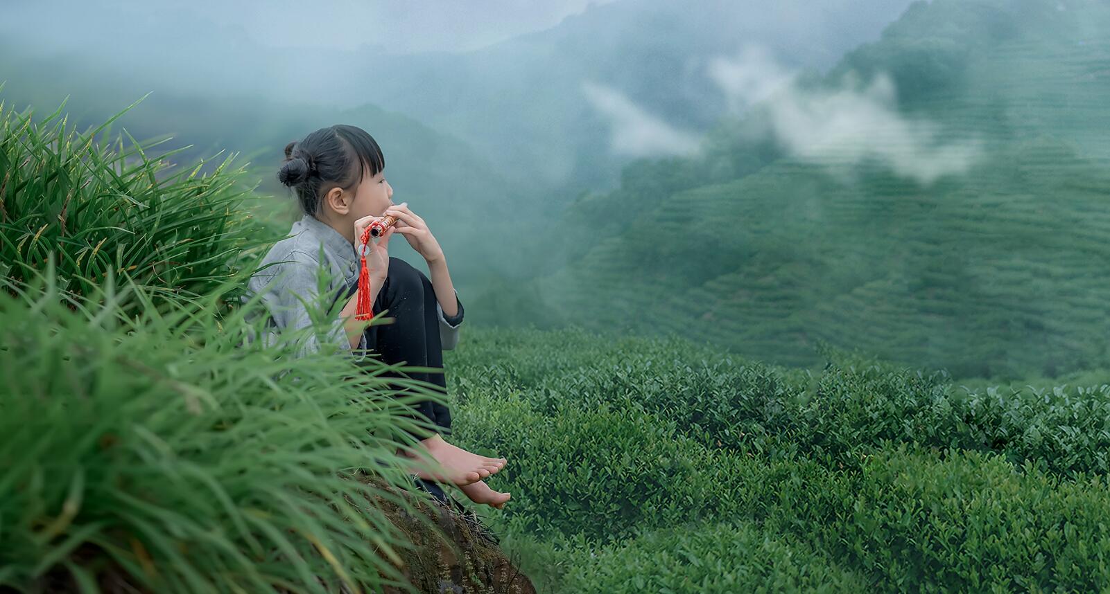 黑茶清欢