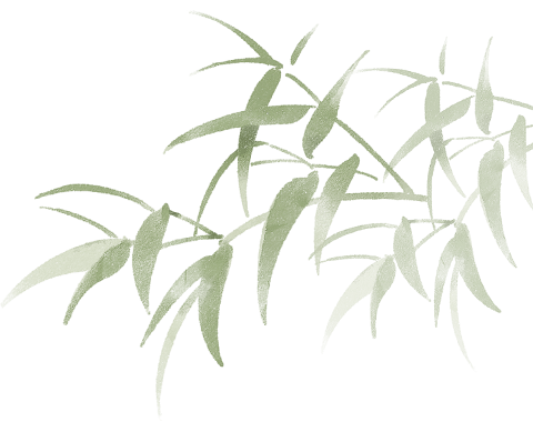 bamboo