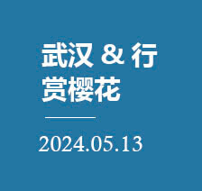 九万里团队动态