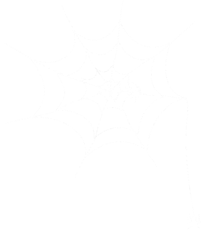 七号档案馆的蜘蛛网