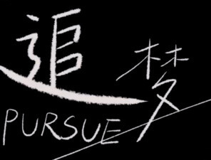 灵动视界作品追梦