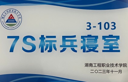 lsd_certificate1