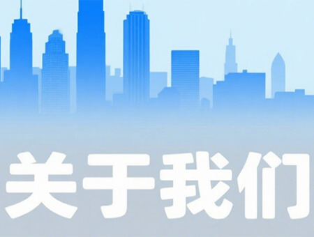 码梦者team-4