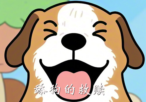 码梦者-video-舔狗的救赎