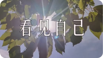 看见自己