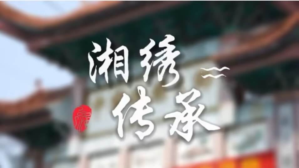 丽湘承网站图片