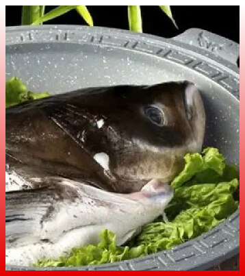 菜