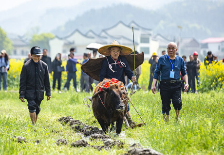 Anren_main-huodong2-2.jpg