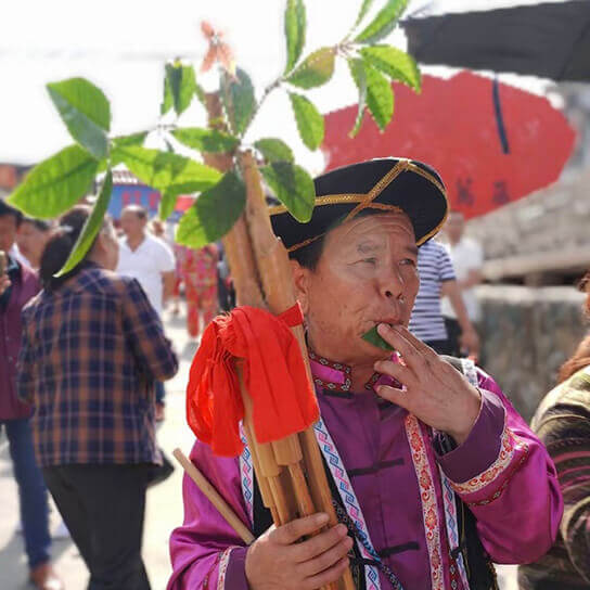 吹木叶