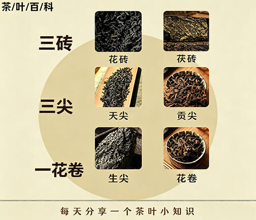 黑茶种类配图
