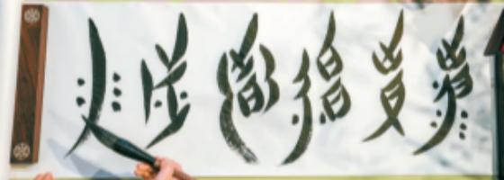 女书精神内核图