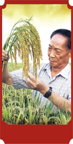 袁隆平