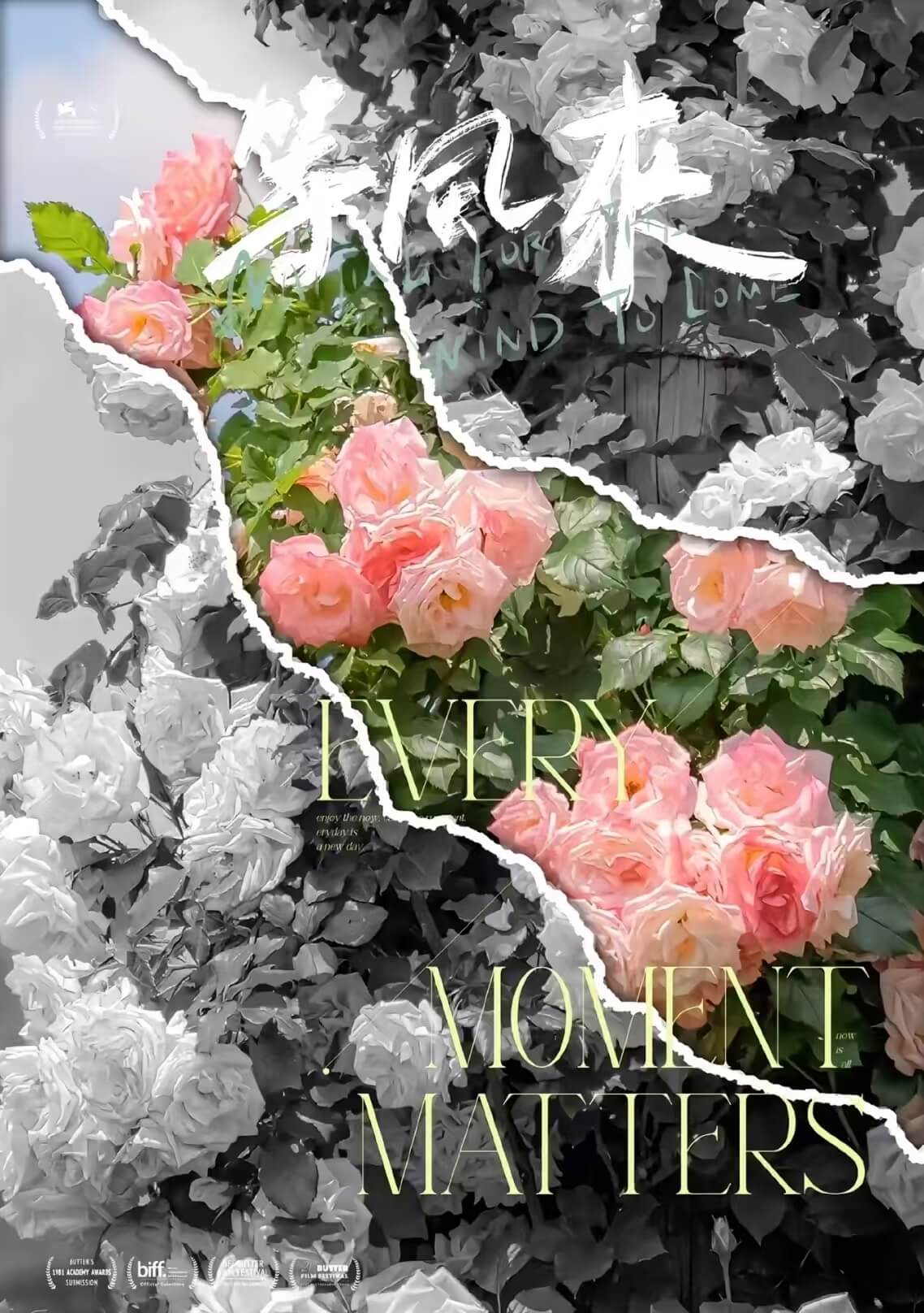 等风来海报