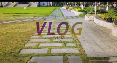 居家日常vlog
