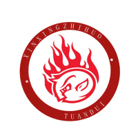 新星之火团队网站 团队logo第一版 何程
