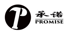 Promise团队网站 LOGO定稿 王进峻