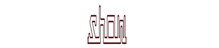 showfive团队网站 logo 第一稿 孙嵌